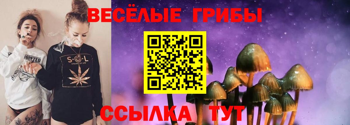 Галлюциногенные грибы Psilocybine cubensis  Вход с VPN  Арзамас  Галлюциногенные грибы Psilocybine cubensis 